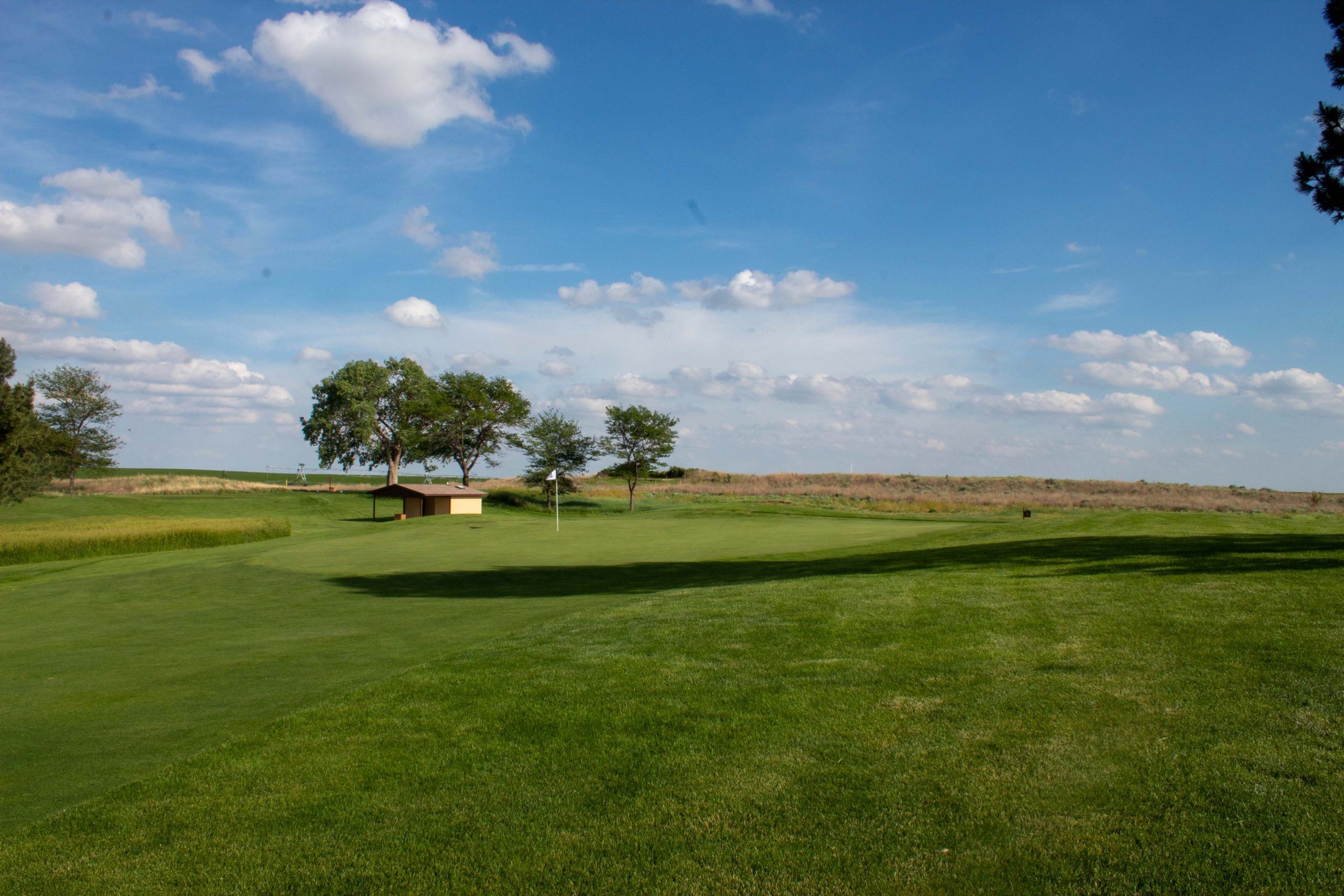 Buffalo Dunes Golf Course 37